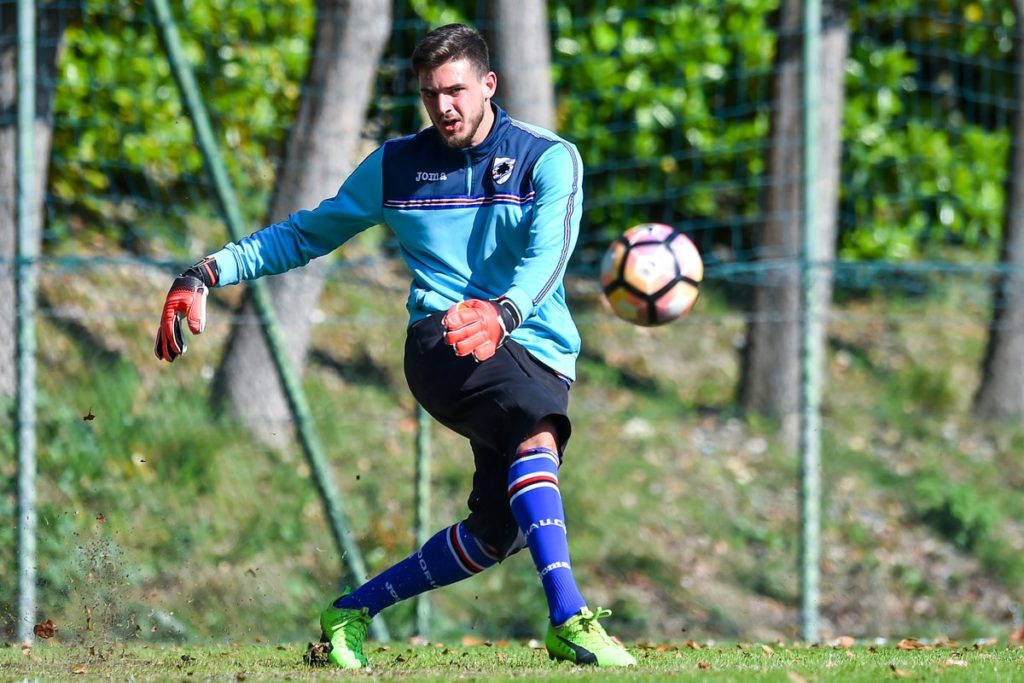 falcone sampdoria calciomercato spal