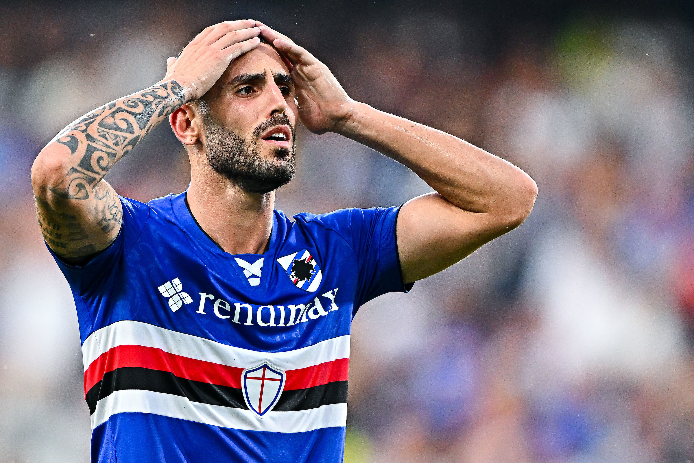 Cosenza Sampdoria cittadella Romagnoli Tutino Sottil